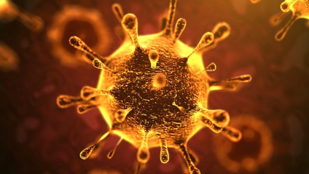 Bild vom Corona Virus